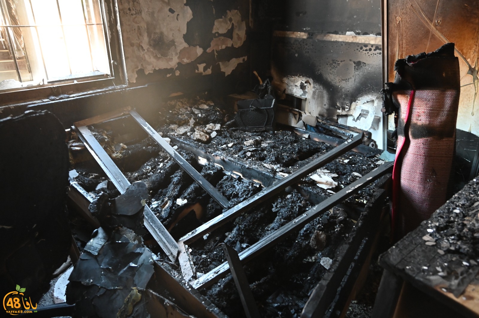 WhatsApp Image 2023-08-03 at 6.55.09 PM.jpeg